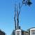 JOSE TREE CARE  SERVICE___________________________ALL SAN JOSE ,N 12 thumbnail