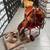 SADDLE & HARNESS W/ACCESSORIES 1 thumbnail