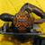 Rigid  6 1/2 circular saw 1 thumbnail