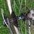 Specialized expedition 8 thumbnail