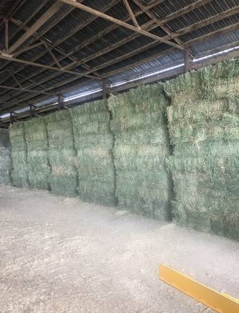 Quality alfalfa Hay. 1