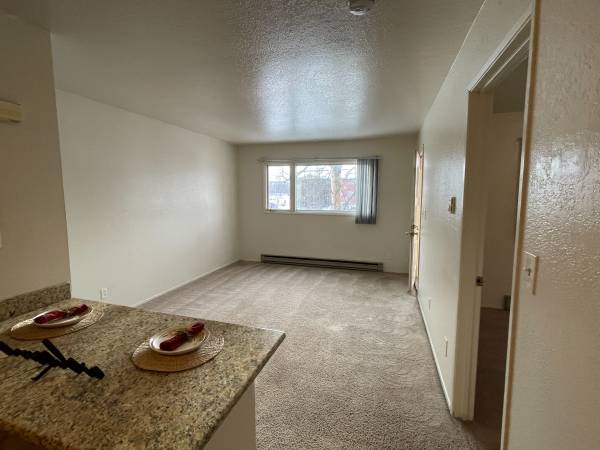 $1,499 / 1br - 470ft2 - Enough living space for all your needs. 1 bed, 1 bath. Check us out! (Anchorage)64004786203650123