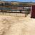 Horse Boarding 24 x 24corrals&24/48 corrals 8 thumbnail