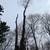 K2 Tree service/ Logging 6 thumbnail
