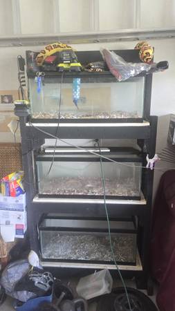 soporte para tanques de acuario de 3 niveles y 20 galones con electricidad (Pensacola)63836589852417124