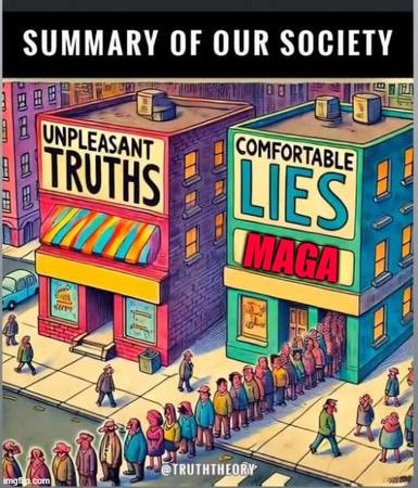 Summary Of Our Society 1