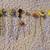 9 stick pins and hair clips - lady bug, flowers, angel, heart, more... 1 thumbnail