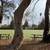 Incredible Amenities, Townhome Floor Plans, Cats and Dogs Ok 17 thumbnail