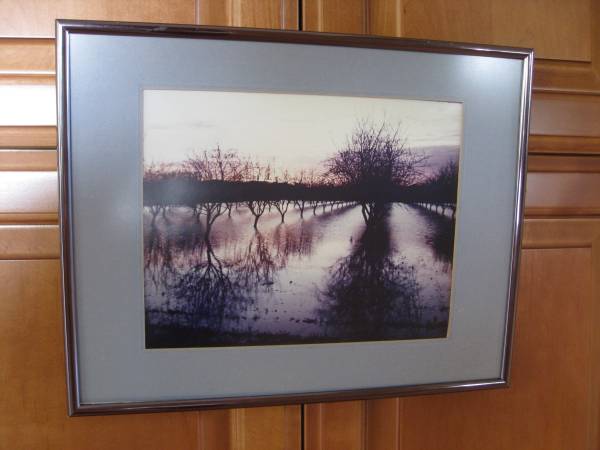 Orchard Photo 1