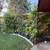 Plants/trees 4 thumbnail