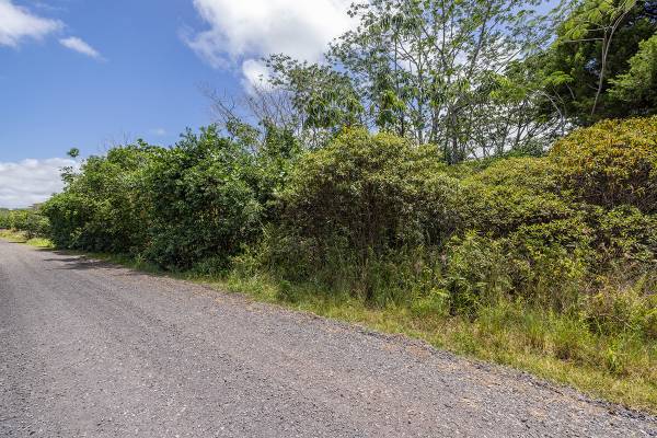 $99,000 / 43560ft2 - En Venta Terreno de 1 Acre en Calle Sin Salida en Baja HPP Cerca del Área del Océano (Keaau, Hawái)63686727570433121