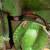 John Deere 720 pony motor 16 thumbnail