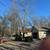 🏡Pro Tree Service — Tree Removal, Trimming & Emergency Clean-Up 18 thumbnail