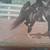 Original Oil Horse Painting 3 thumbnail
