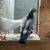 White Homing Pigeons. Wedding Doves 11 thumbnail
