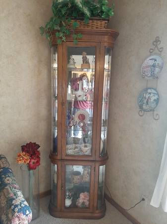 Curial Cabinet - Wood and Glass 1