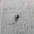 Snap-on tools 3/8" drive finger spinner ratchet 7 thumbnail