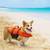 Dog Pet Life Jacket Safety Vest - Size MD 1 thumbnail