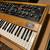 Minimoog Moog Model D 2017 5 thumbnail