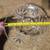 VINTAGE CLEAR GLASS FOOTED BOWL HOBSTAR PATTERN 6.75" 5 thumbnail