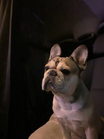 Hello CL community! 1