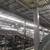** LICENSED ** LIGHTING ELECTRICIAN ** ELECTRIC ** ELECTRICAL ** 23 thumbnail