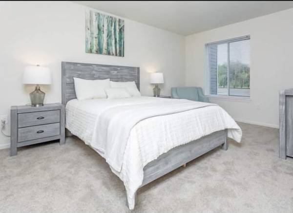 $1,375 / 2br - 960ft2 - First floor apartment with laundry hookup capabilities! (St Clair)63812658377857122