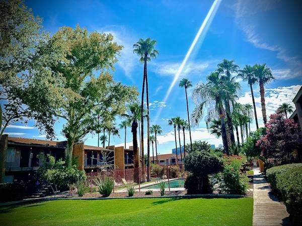$1,059 / 1br - 605ft2 - Oferta especial de mudanza en otoño: 1 dormitorio en Shadowtree, ¡1 mes gratis en Tucson, AZ! (Tucson)63674793096961121