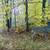 Hunting Lease 1 thumbnail