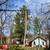 K2 Tree service/ Logging 3 thumbnail