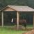 Carports and Sheds etc. 4 thumbnail