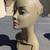 New York Queen, Mannequin Head, Wig Display 8 thumbnail
