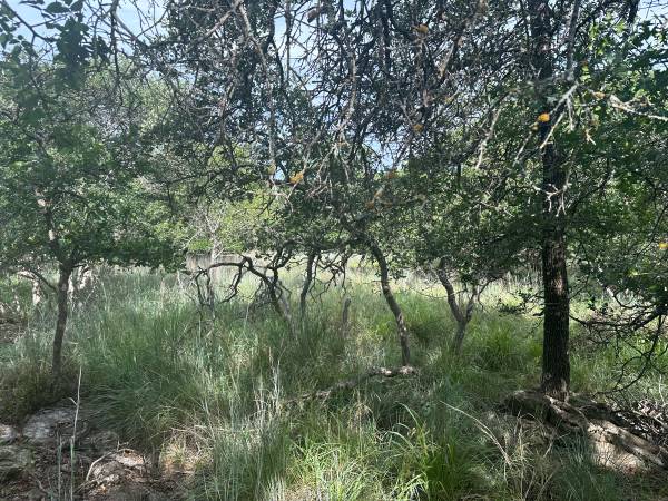 $14,900 3040 Cutter Circle, May TX 1.33 acres can have RV mobile home whatever you like (May)64163322728322123