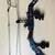 Multiple Compound Bows 1 thumbnail