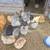 Chickens 1 thumbnail