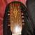Alvarez 12 string 2 thumbnail