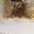 Night Watch Etching Dana Apache Limited Ed Certificate of Authenticity 6 thumbnail