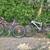 Two Kids Bikes 1 thumbnail