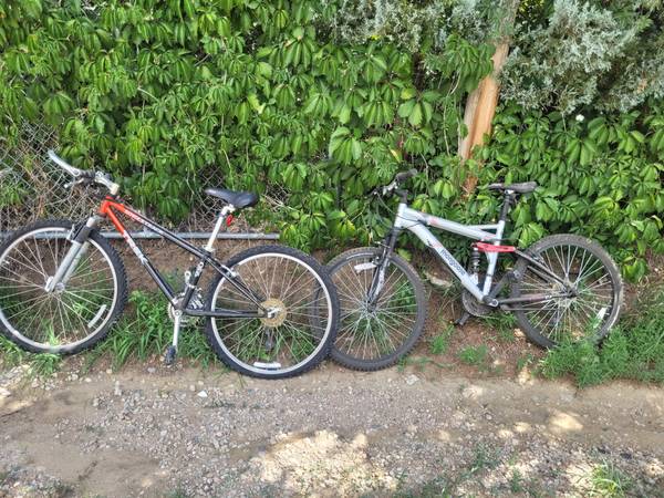 Two Kids Bikes 1