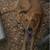 Pyrenees/Shepherd/Hound Puppies 6 thumbnail