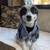 (R-4) Castro Valley - Pets welcomed! 4Plex-Garage -3 bedroom 2 bath * 19 thumbnail