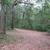 LAND FOR SALE 5 ACRES DEEP WATERFRONT 2 thumbnail