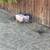Piglets 4 thumbnail