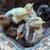 Quail hatching eggs,quail and barnyard chicken chicks 2 thumbnail