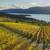 Situated in Kelowna!, Social Room, 1B/1B 4 thumbnail