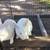 Rabbits 2 thumbnail