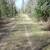 5.5 Acres on Lake Minnewawa 2 thumbnail