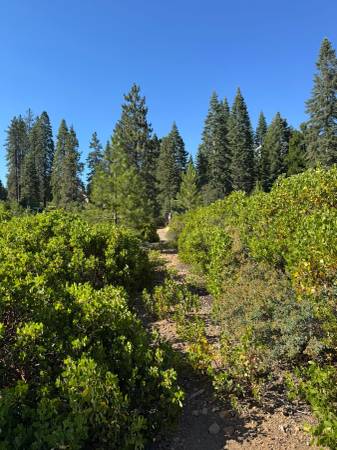 $89,000 / 96067ft2 - Corner lot 2.5a Mountain View (mount shasta)63678184777217122