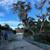 Tree service/landscaping /tractor work/handyman svcs. 4 thumbnail