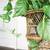 Tall MCM Floor Standing Cane Plant Stand 2 thumbnail